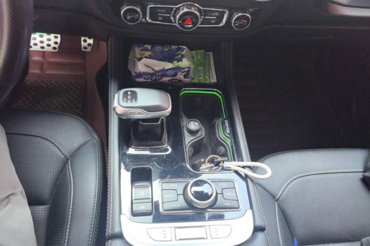 Used BAIC Off-Road BJ40 2022 2.0T Automatic Four-Wheel Drive Ring of the Tower Champion Edition Gear Lever