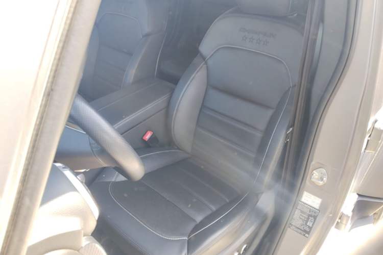Used BAIC Off-Road BJ40 2022 2.0T Automatic Four-Wheel Drive Ring of the Tower Champion Edition Left Front Seat