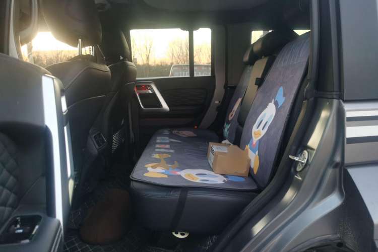 Used BAIC Off-Road BJ40 2022 2.0T Automatic Four-Wheel Drive Ring of the Tower Champion Edition Left Rear Seat