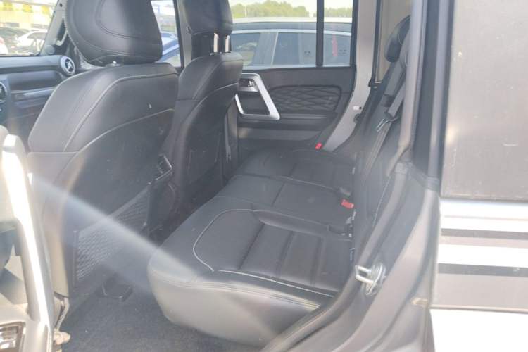 Used BAIC Off-Road BJ40 2022 2.0T Automatic Four-Wheel Drive Ring of the Tower Champion Edition Left Rear Seat