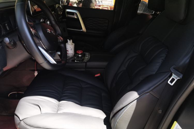 Used BAIC Off-Road BJ40 2023 2.0D Automatic Four-Wheel Drive Blade Hero Edition Adventurer Type Left Front Seat