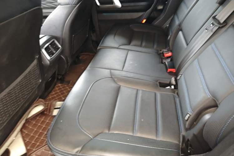 Used BAIC Off-Road BJ40 2023 2.0T Automatic Four-Wheel Drive Urban Hunter Edition Chivalrous Type Left Rear Seat