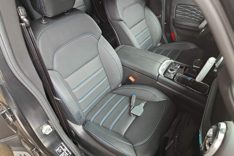 Used BAIC Off-Road BJ40 2023 2.0D Automatic Four-Wheel Drive Blade Hero Edition Adventurer Type Right Front Seat
