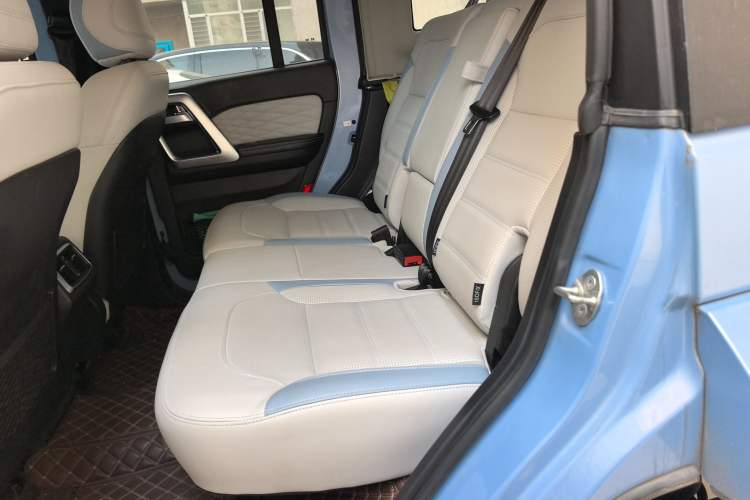 Used BAIC Off-Road BJ40 2023 2.0T Automatic Four-Wheel Drive Urban Hunter Edition Chivalrous Type Left Rear Seat