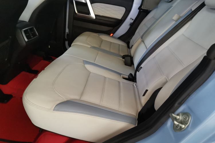 Used BAIC Off-Road BJ40 2023 2.0D Automatic Four-Wheel Drive Blade Hero Edition Adventurer Type Left Rear Seat