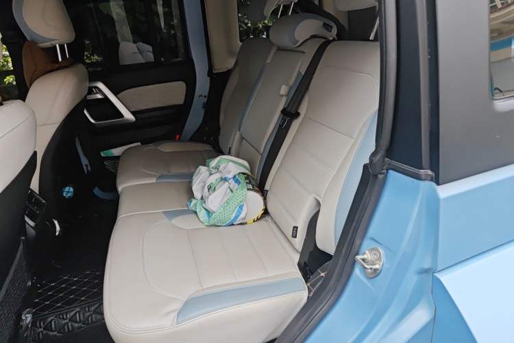 Used BAIC Off-Road BJ40 2023 2.0D Automatic Four-Wheel Drive Blade Hero Edition Adventurer Type Left Rear Seat
