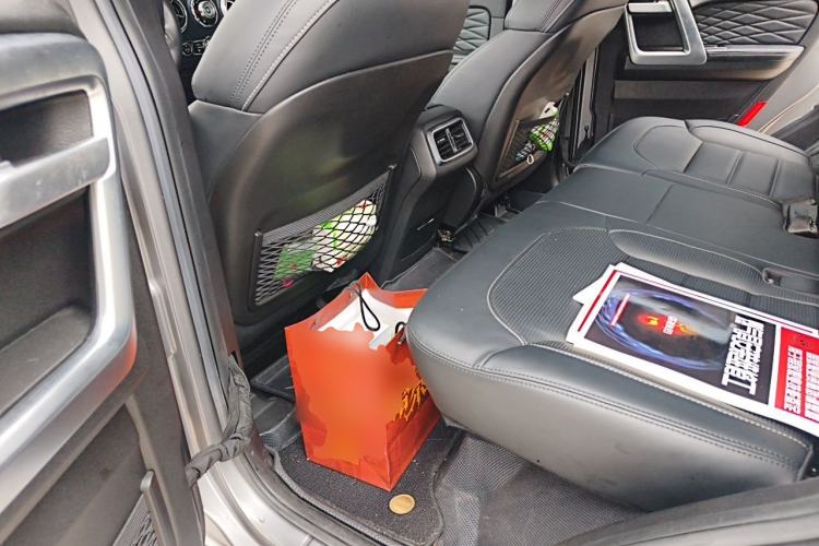 Used BAIC Off-Road BJ40 2023 2.0T Automatic Four-Wheel Drive Ring of the Tower Champion Edition Left Rear Seat