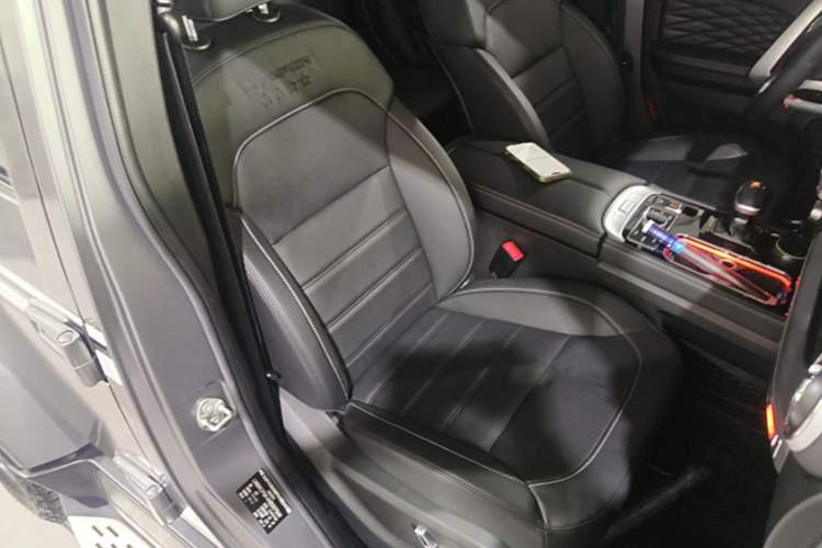 Used BAIC Off-Road BJ40 2023 2.0T Automatic Four-Wheel Drive Ring of the Tower Champion Edition Right Front Seat
