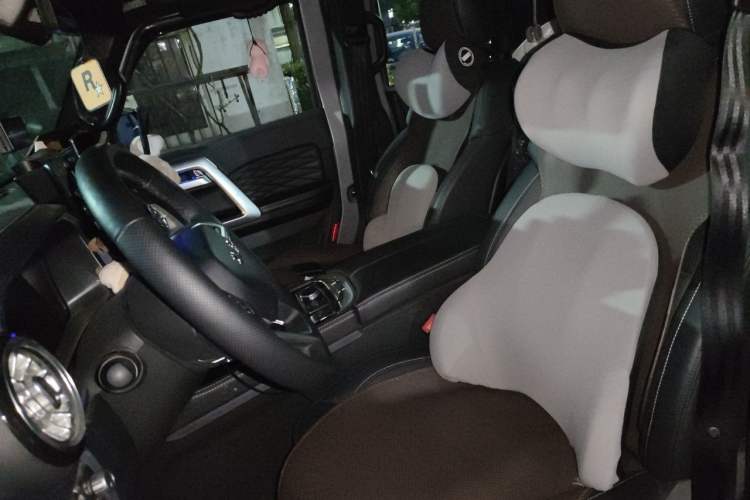 Used BAIC Off-Road BJ40 2023 2.0T Automatic Four-Wheel Drive Ring of the Tower Champion Edition Left Front Seat