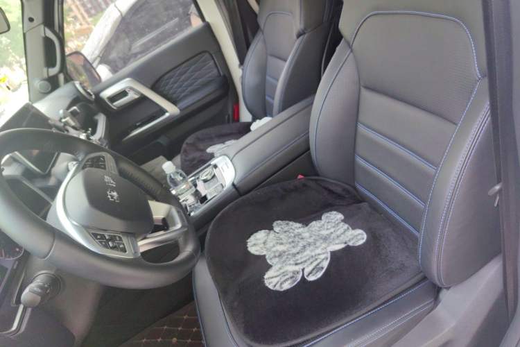 Used BAIC Off-Road BJ40 2023 2.0T Automatic Four-Wheel Drive Urban Hunter Edition Chivalrous Type Left Front Seat