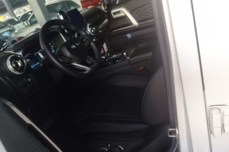 Used BAIC Off-Road BJ40 2023 2.0D Automatic Four-Wheel Drive Blade Hero Edition Adventurer Type Left Front Seat