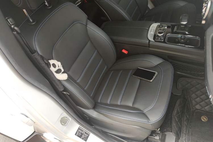 Used BAIC Off-Road BJ40 2023 2.0D Automatic Four-Wheel Drive Blade Hero Edition Adventurer Type Right Front Seat