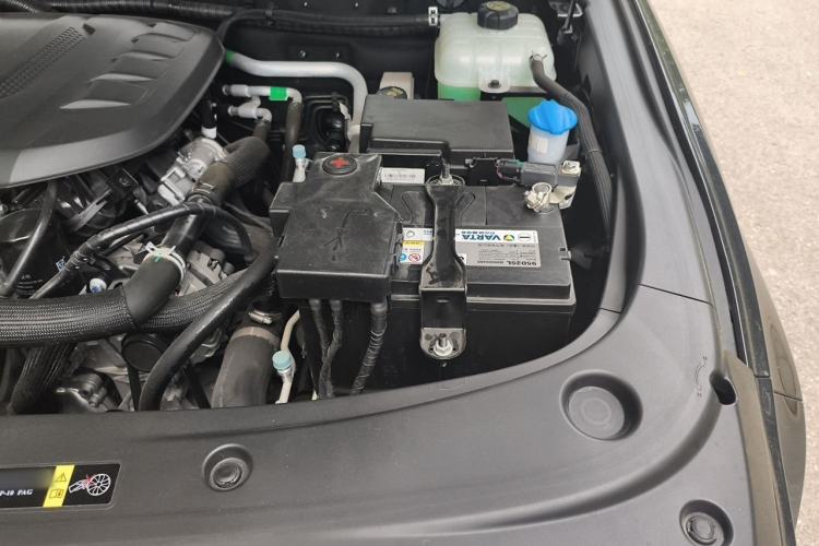 Used BAIC Off-Road BJ40 2024 2.0T All-New Blade Hero Edition Climber Engine Bay Left