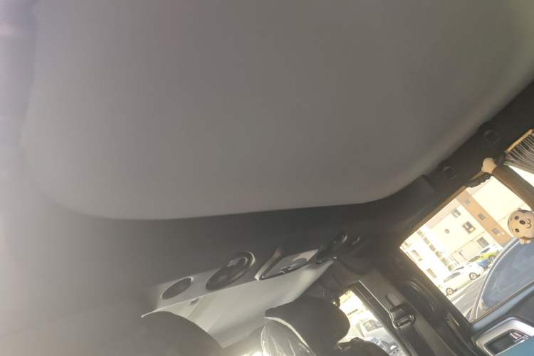 Used BAIC Off-Road BJ40 2024 2.0T Urban Hunter Honor Edition Headliner