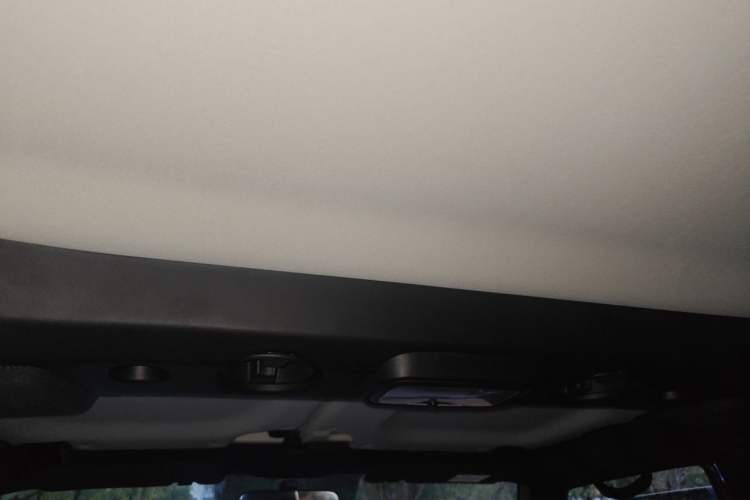 Used BAIC Off-Road BJ40 2024 2.0T Urban Hunter Honor Edition Headliner
