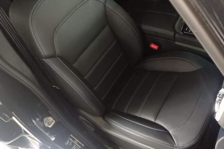 Used BAIC Off-Road BJ40 2024 2.0T Urban Hunter Honor Edition Right Front Seat