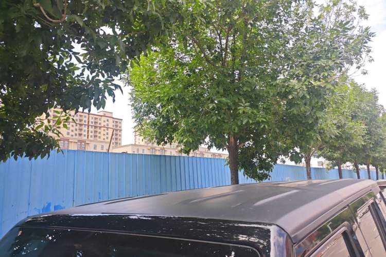Used BAIC Off-Road BJ40 2024 2.0T Urban Hunter Honor Edition Roof