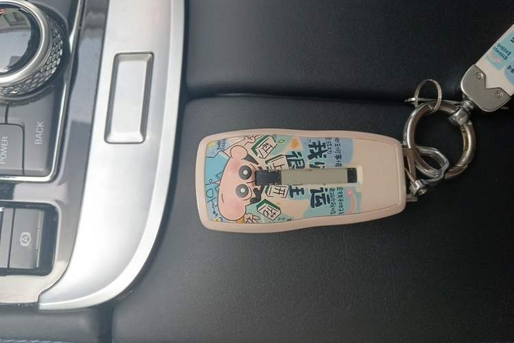 Used BAIC Off-Road BJ40 2024 2.0D Blade Hero Glory Edition Vehicle Key