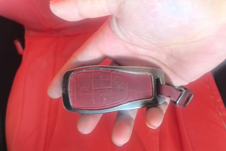 Used BAIC Off-Road BJ40 2024 2.0D Blade Hero Glory Edition Vehicle Key