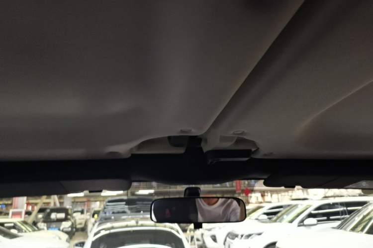Used BAIC Off-Road BJ40 2024 2.0T Urban Hunter Honor Edition Headliner