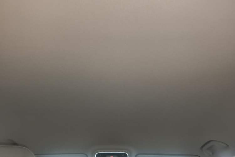 Used BAIC Off-Road BJ40 2024 2.0T All-New Urban Hunter Edition Pioneer Type Headliner