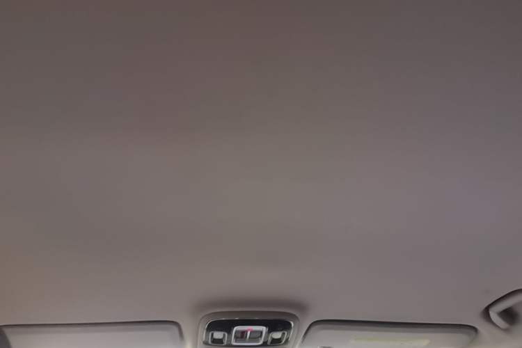 Used BAIC Off-Road BJ40 2024 2.0T All-New Urban Hunter Edition Pioneer Type Headliner