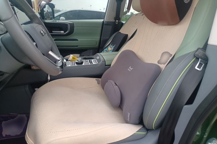 Used BAIC Off-Road BJ40 2024 2.0D All-New Blade Hero Crosser Left Front Seat