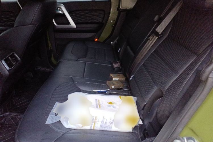 Used BAIC Off-Road BJ40 2024 2.0D Blade Hero Glory Edition Left Rear Seat