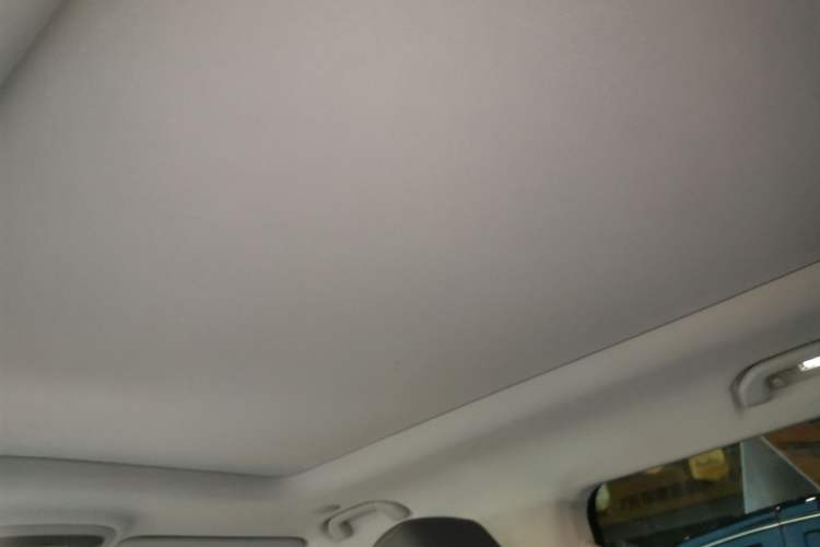 Used BAIC Off-Road BJ40 2024 2.0T All-New Urban Hunter Edition Ultimate Version Headliner