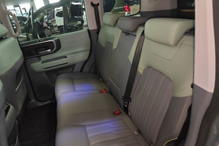 Used BAIC Off-Road BJ40 2024 2.0T All-New Urban Hunter Edition Chivalrous Style Left Rear Seat