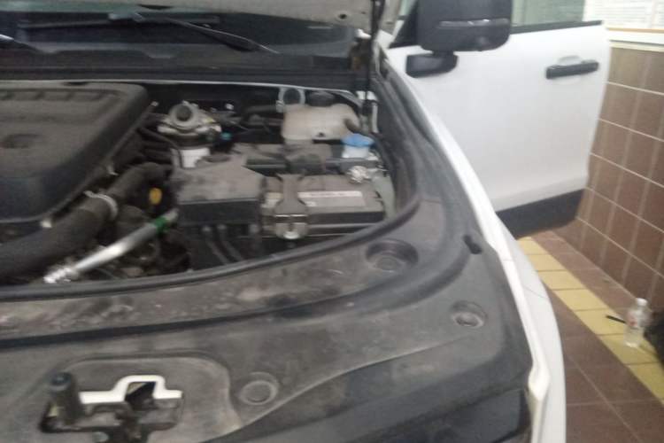 Used BAIC Off-Road BJ40 2024 2.0D All-New Blade Hero Crosser Engine Bay Left