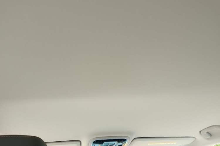 Used BAIC Off-Road BJ40 2024 2.0T All-New Urban Hunter Edition Pioneer Type Headliner