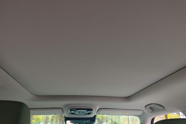 Used BAIC Off-Road BJ40 2026 Model 2.0T Gasoline Standard Edition Headliner