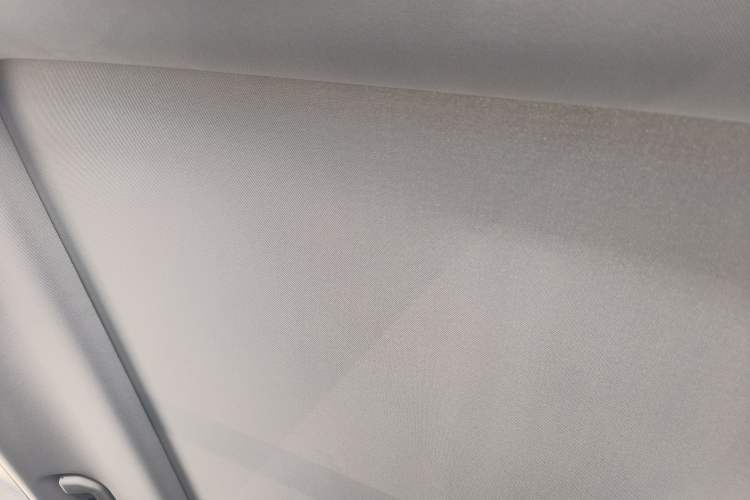 Used BAIC Off-Road BJ40 Electric Drive 2025 Advanced Edition Headliner