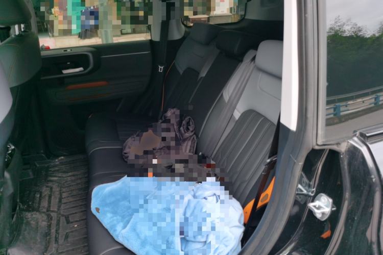 Used BAIC Off-Road BJ40 Electric Drive 2025 Standard Edition Left Rear Seat