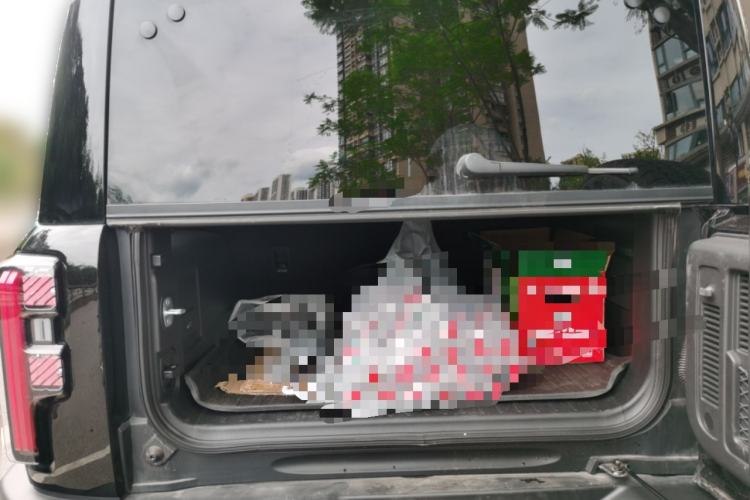Used BAIC Off-Road BJ40 Electric Drive 2025 Standard Edition Trunk
