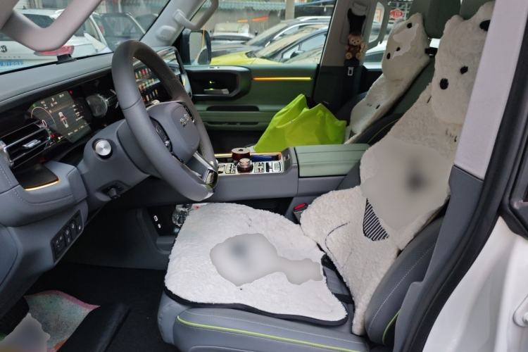 Used BAIC Off-Road BJ40 Electric Drive 2025 Standard Edition Left Front Seat