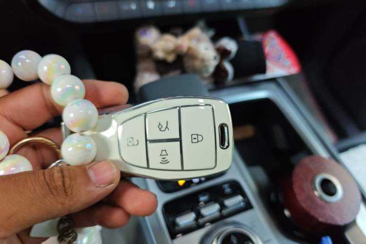 Used BAIC Off-Road BJ40 Electric Drive 2025 Standard Edition Vehicle Key