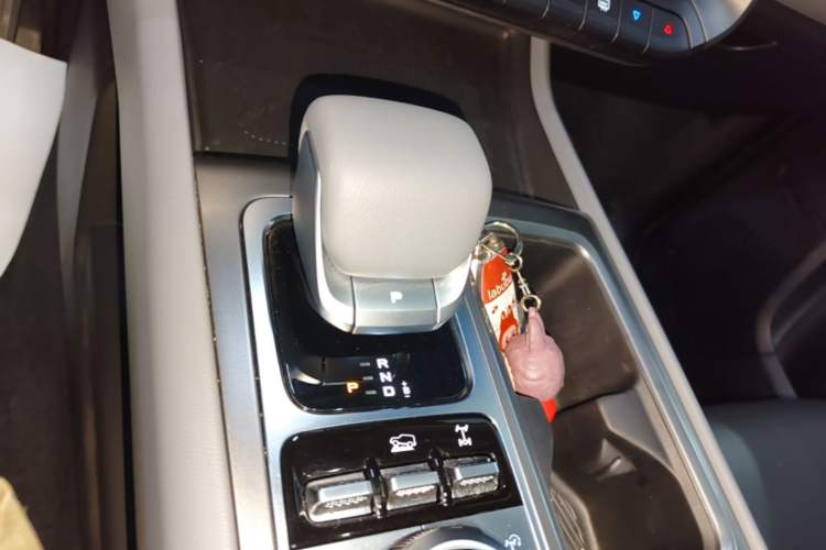 Used BAIC Off-Road BJ40 Electric Drive 2025 Standard Edition Gear Lever
