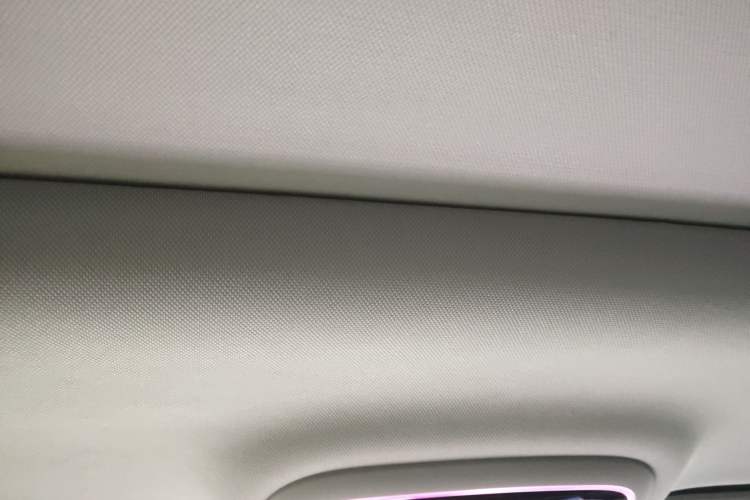 Used BAIC Off-Road BJ40 Electric Drive 2025 Advanced Edition Headliner