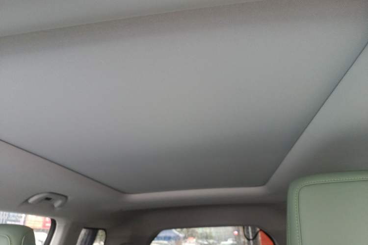 Used BAIC Off-Road BJ40 Electric Drive 2025 Standard Version I Headliner