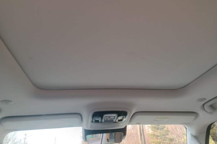 Used BAIC Off-Road BJ40 Electric Drive 2025 Standard Edition Headliner