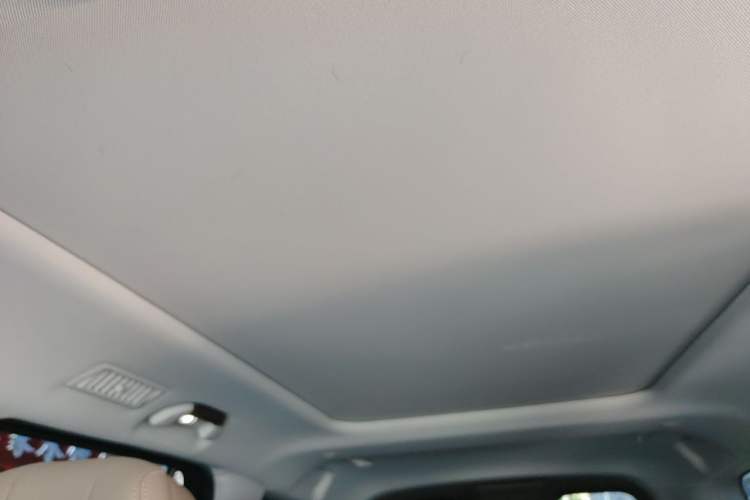 Used BAIC Off-Road BJ60 2022 2.0T Version 11 Five Seats Headliner