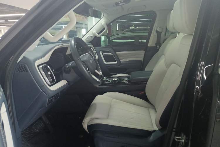 Used BAIC Off-Road BJ60 2022 2.0T Weekend Edition Five-Seater Left Front Seat