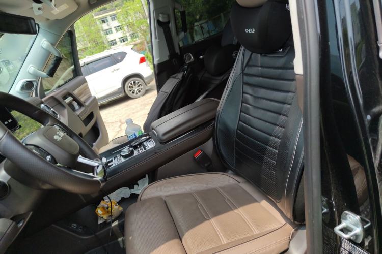 Used BAIC Off-Road BJ60 2022 2.0T Version 11 Five Seats Left Front Seat