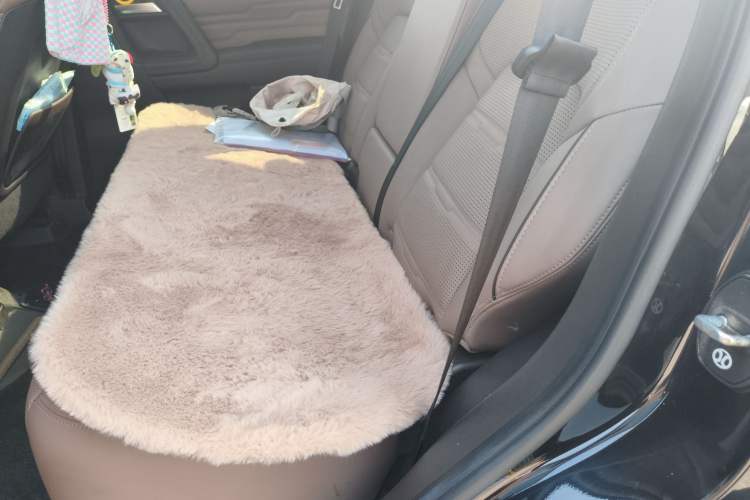 Used BAIC Off-Road BJ60 2022 2.0T Version 11 Five Seats Left Rear Seat