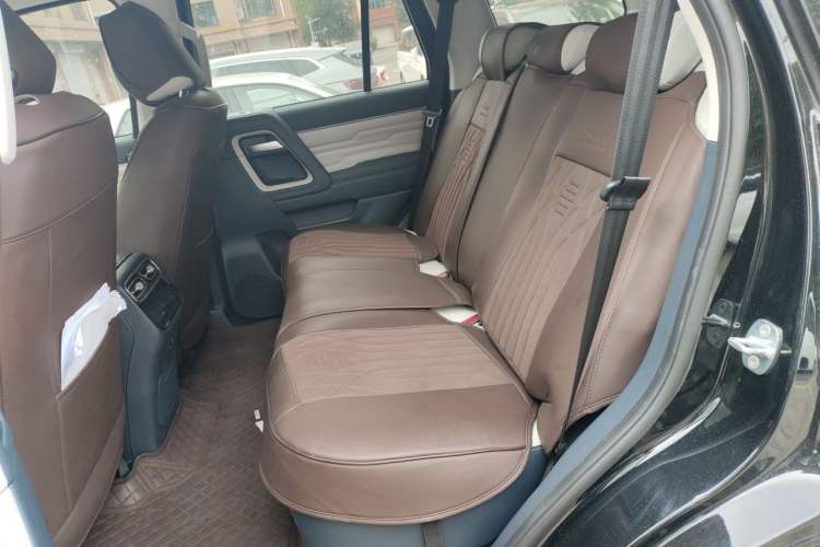 Used BAIC Off-Road BJ60 2022 2.0T Weekend Edition Five-Seater Left Rear Seat