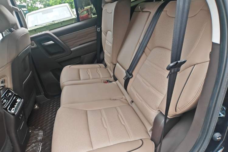 Used BAIC Off-Road BJ60 2022 2.0T May Day Edition Seven Seats Left Rear Seat
