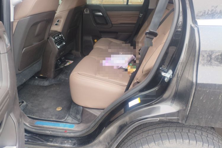 Used BAIC Off-Road BJ60 2022 2.0T Version 11 Five Seats Left Rear Seat