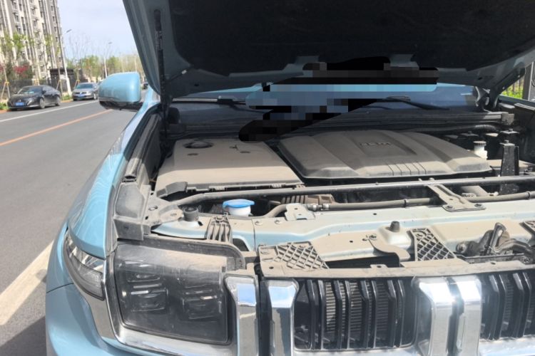 Used BAIC Off-Road BJ60 2022 2.0T May Day Edition Five Seats Engine Bay Right